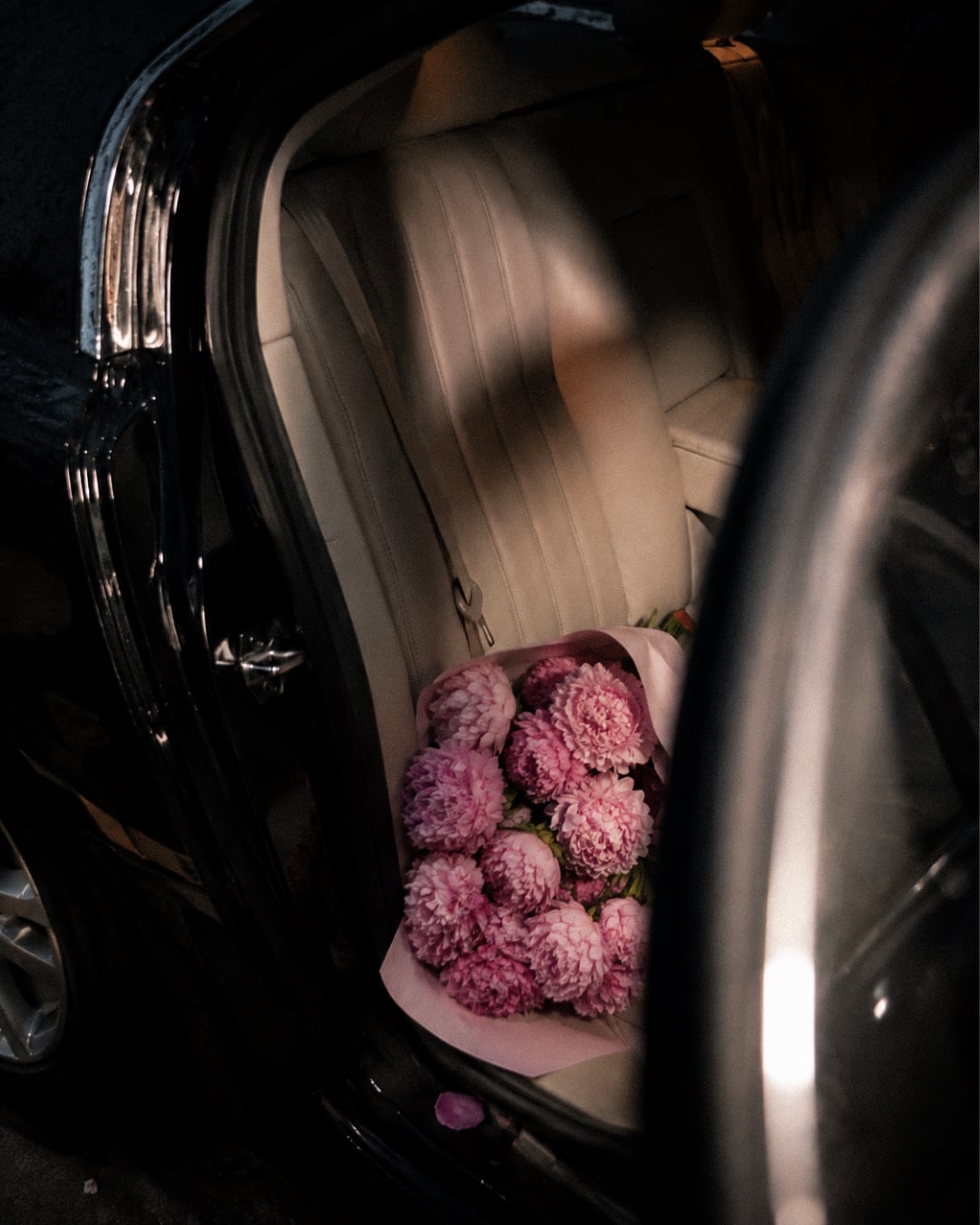 Between shows: Peonies on the back seat