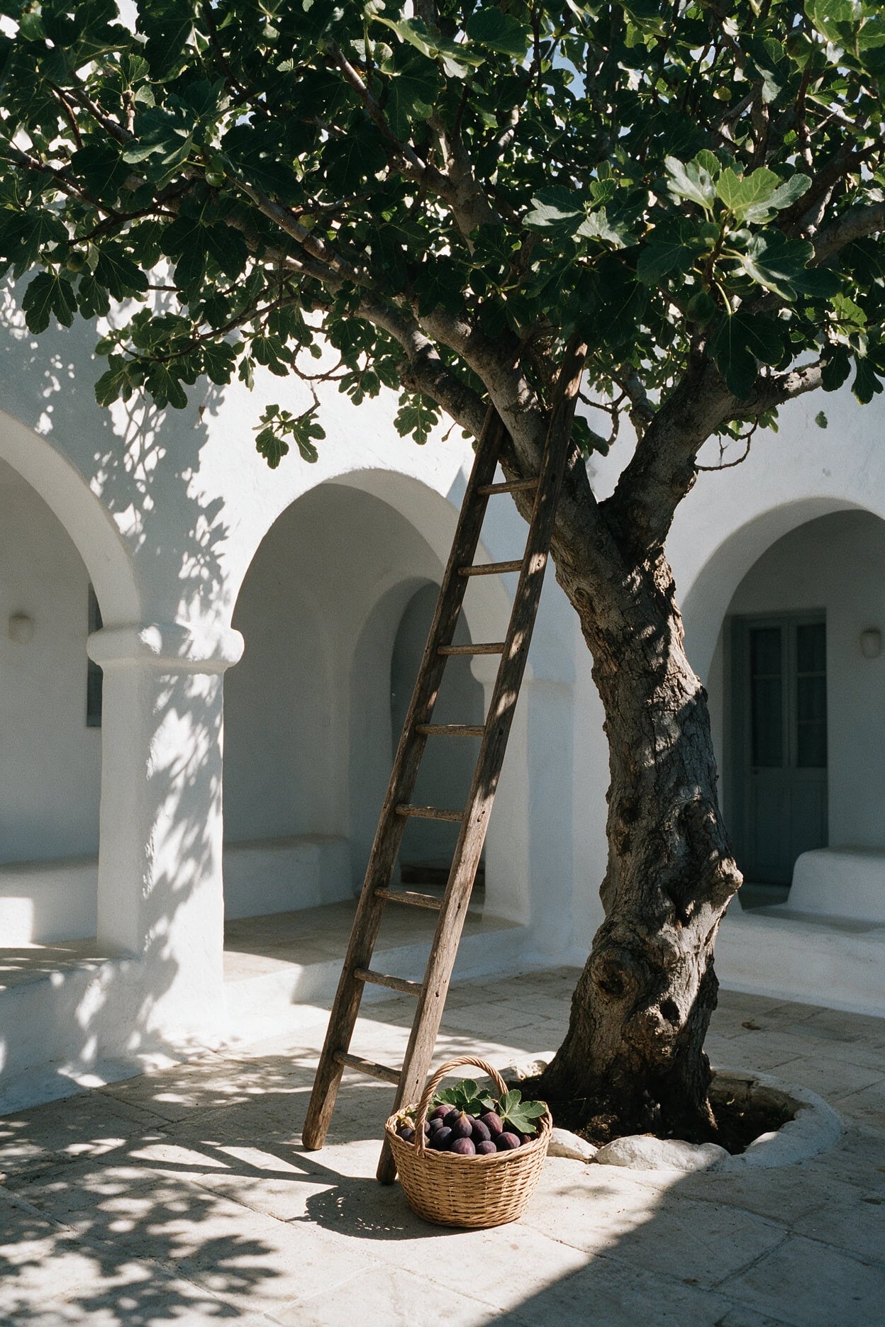 Diptyque · Philosykos: Die Feigenernte