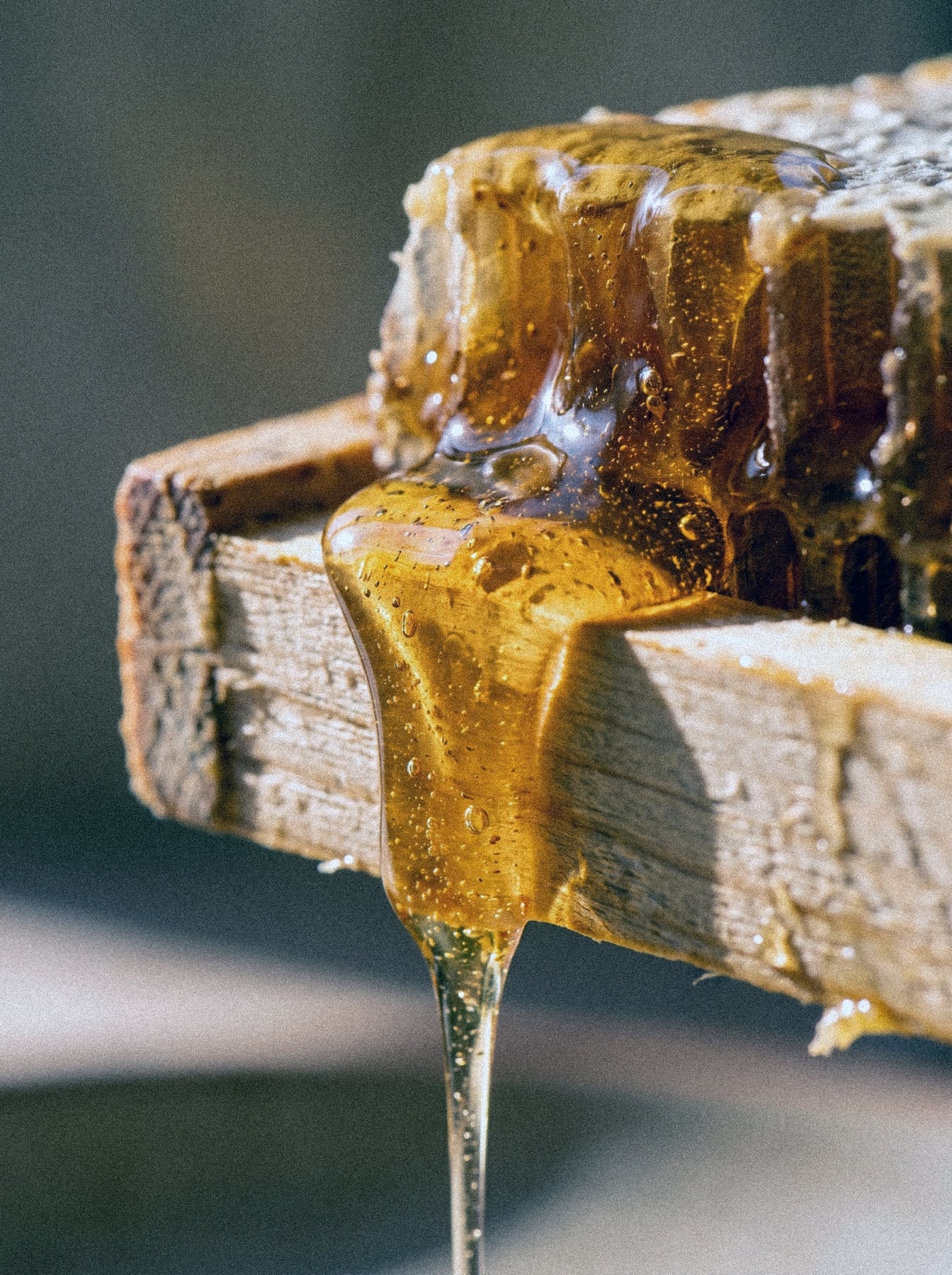 Mellis Honey: Honey from the frame