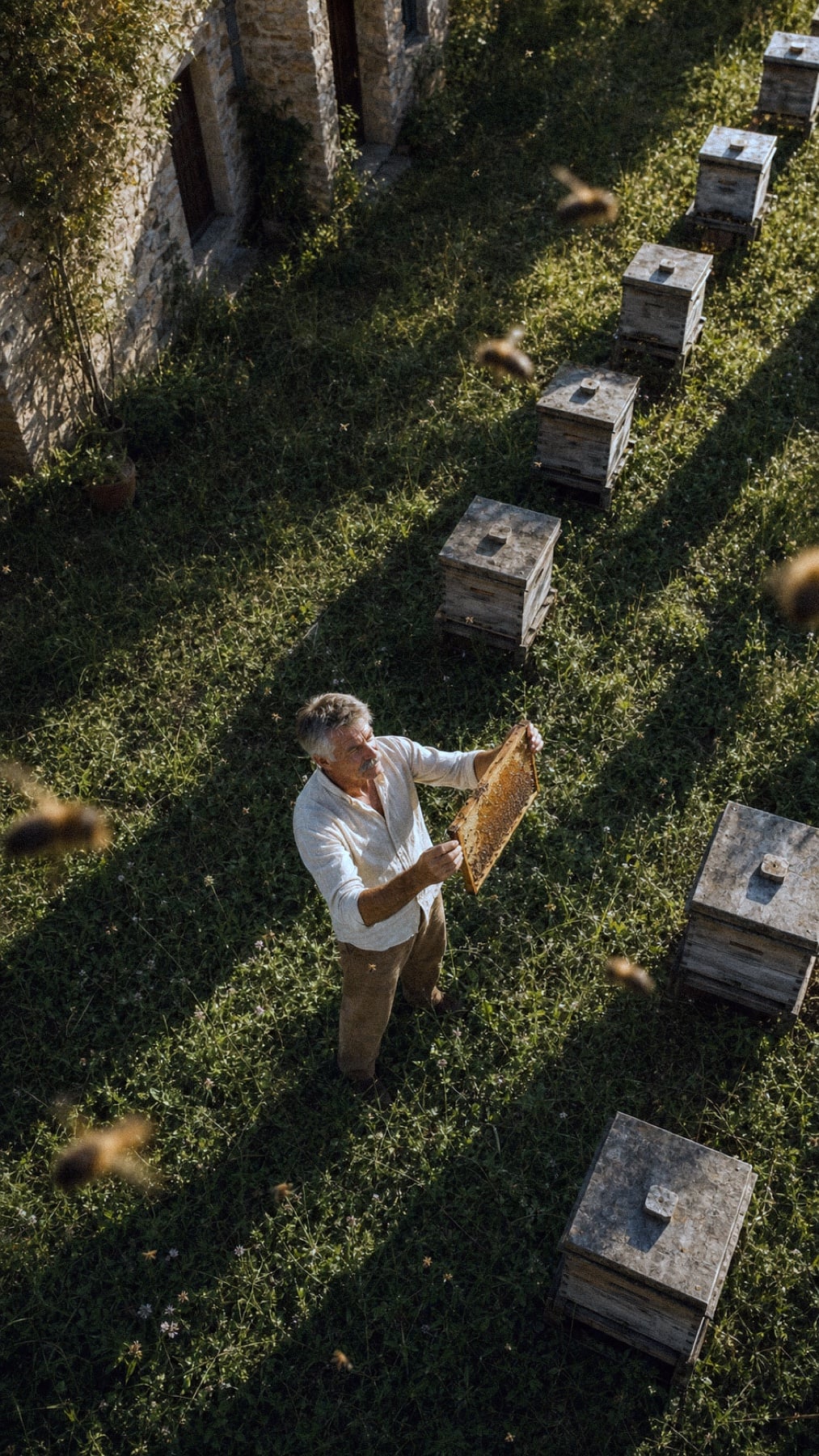 Mellis Honey: The apiary from above