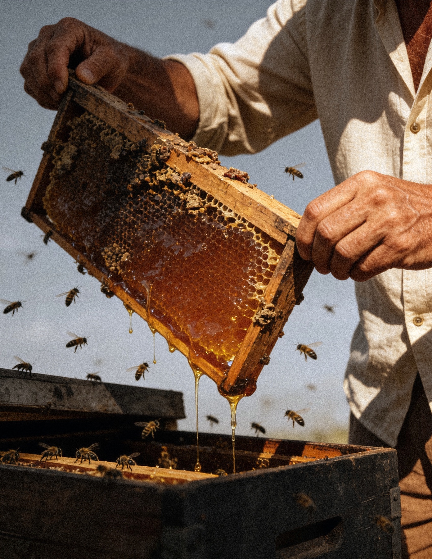 Mellis Honey: The frame, dripping